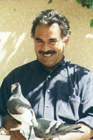 القائد