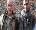 Şehîdan